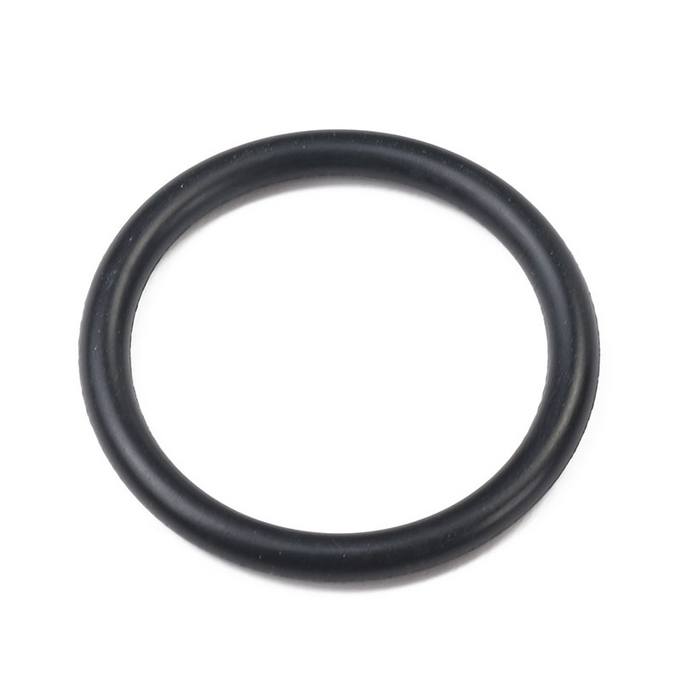 Engine Coolant Thermostat O-Ring